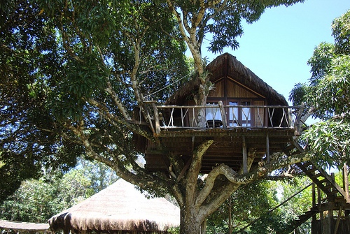 Artjungle Eco Lodge in Itacare, Bahia, Brazil